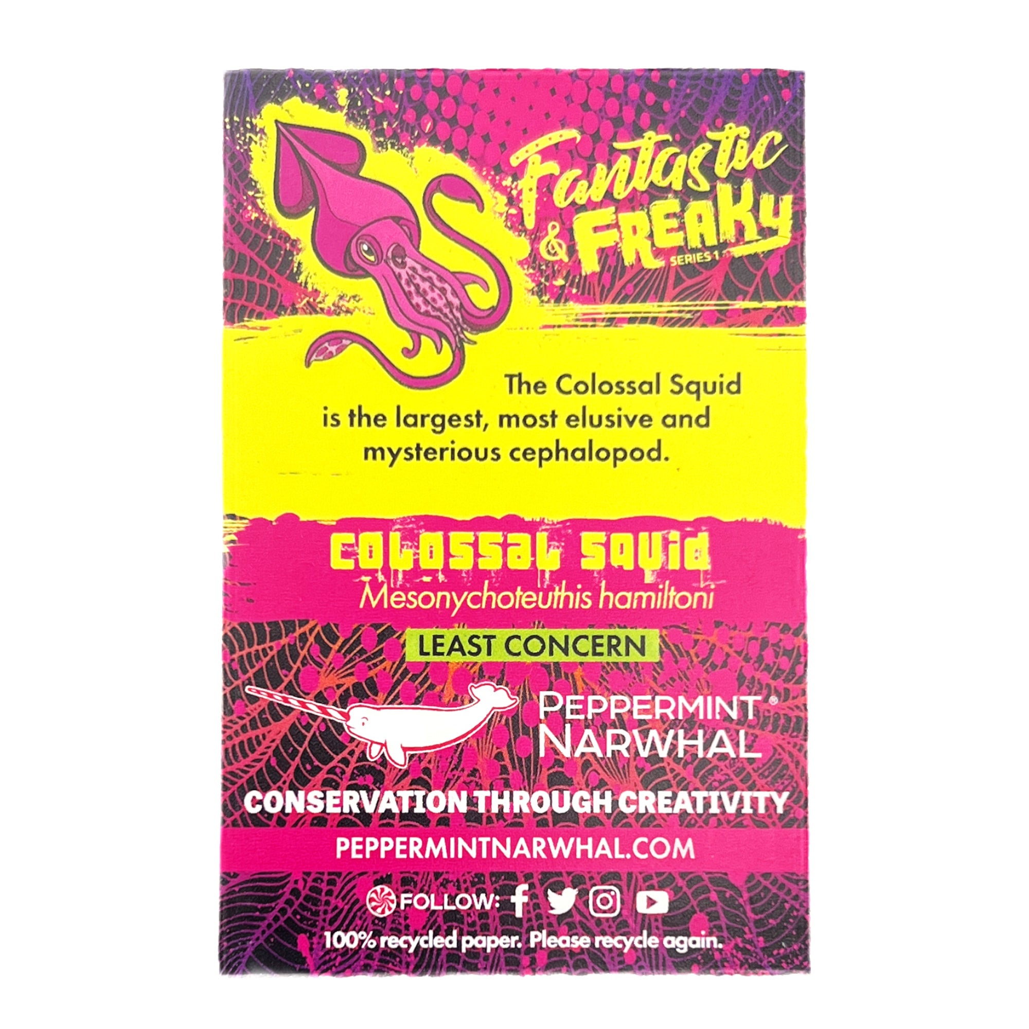 Colossal Squid enamel pin | Peppermint Narwhal - Conservation