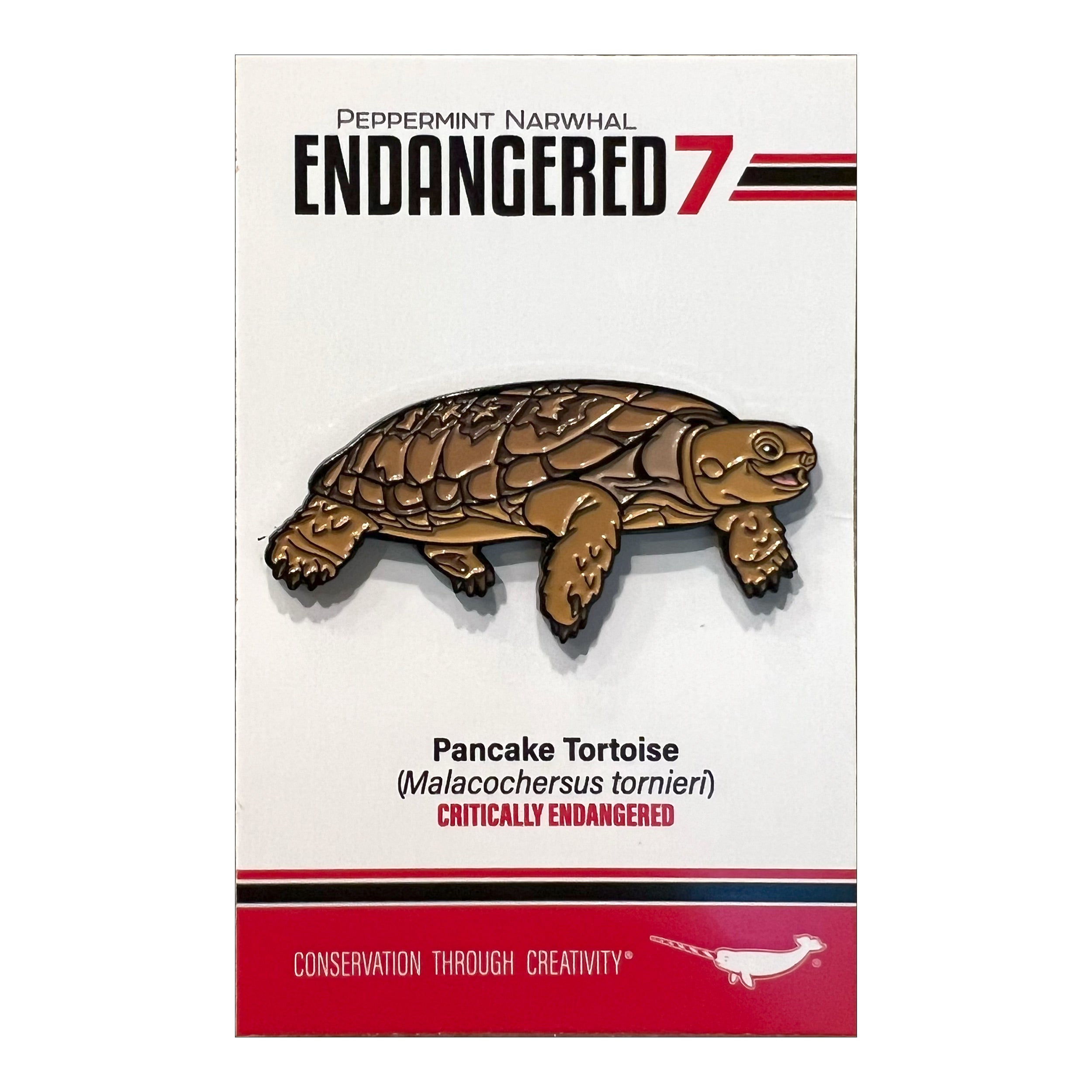 Pancake Tortoise enamel pin | Peppermint Narwhal - Conservation