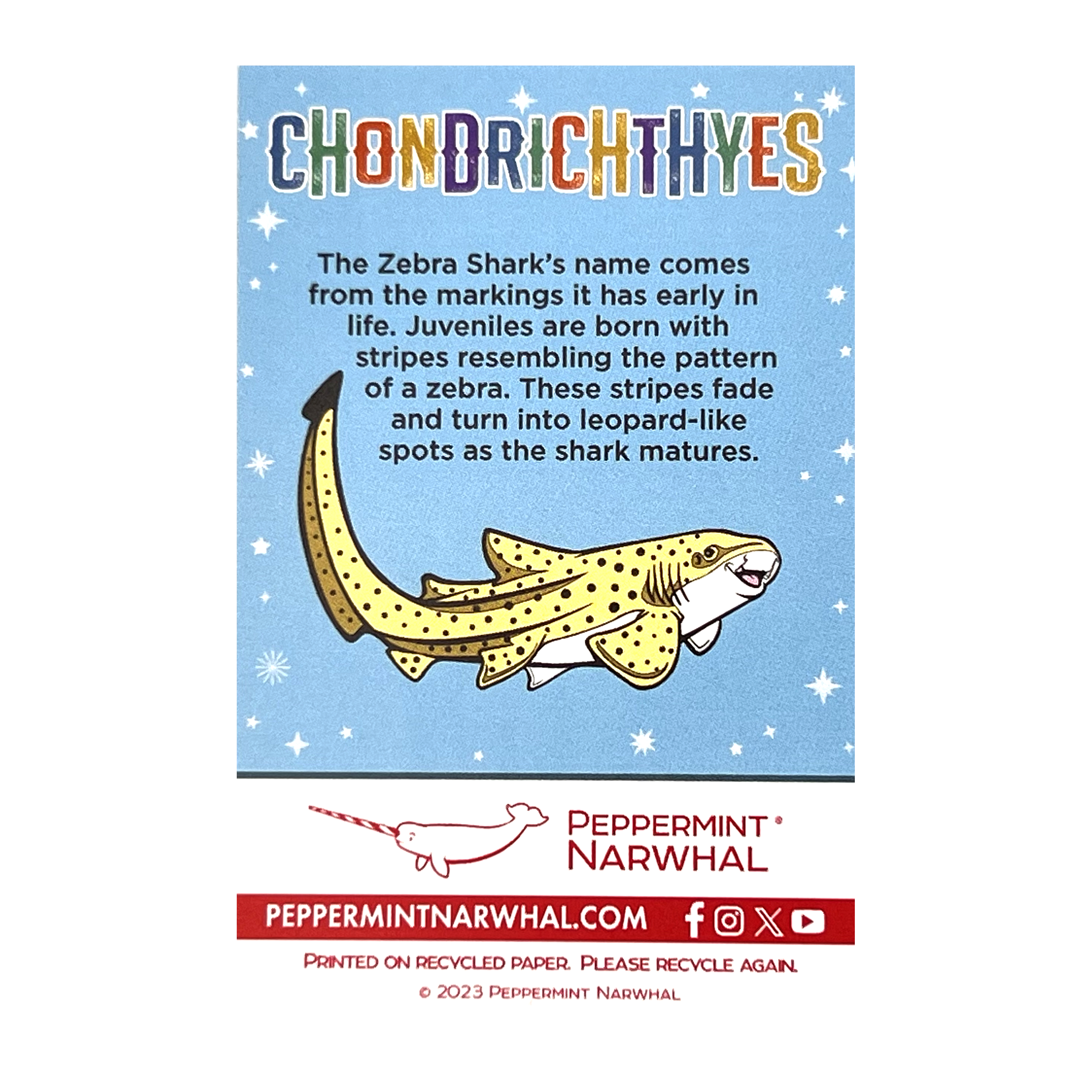 Zebra Shark enamel pin | Peppermint Narwhal - Conservation Through