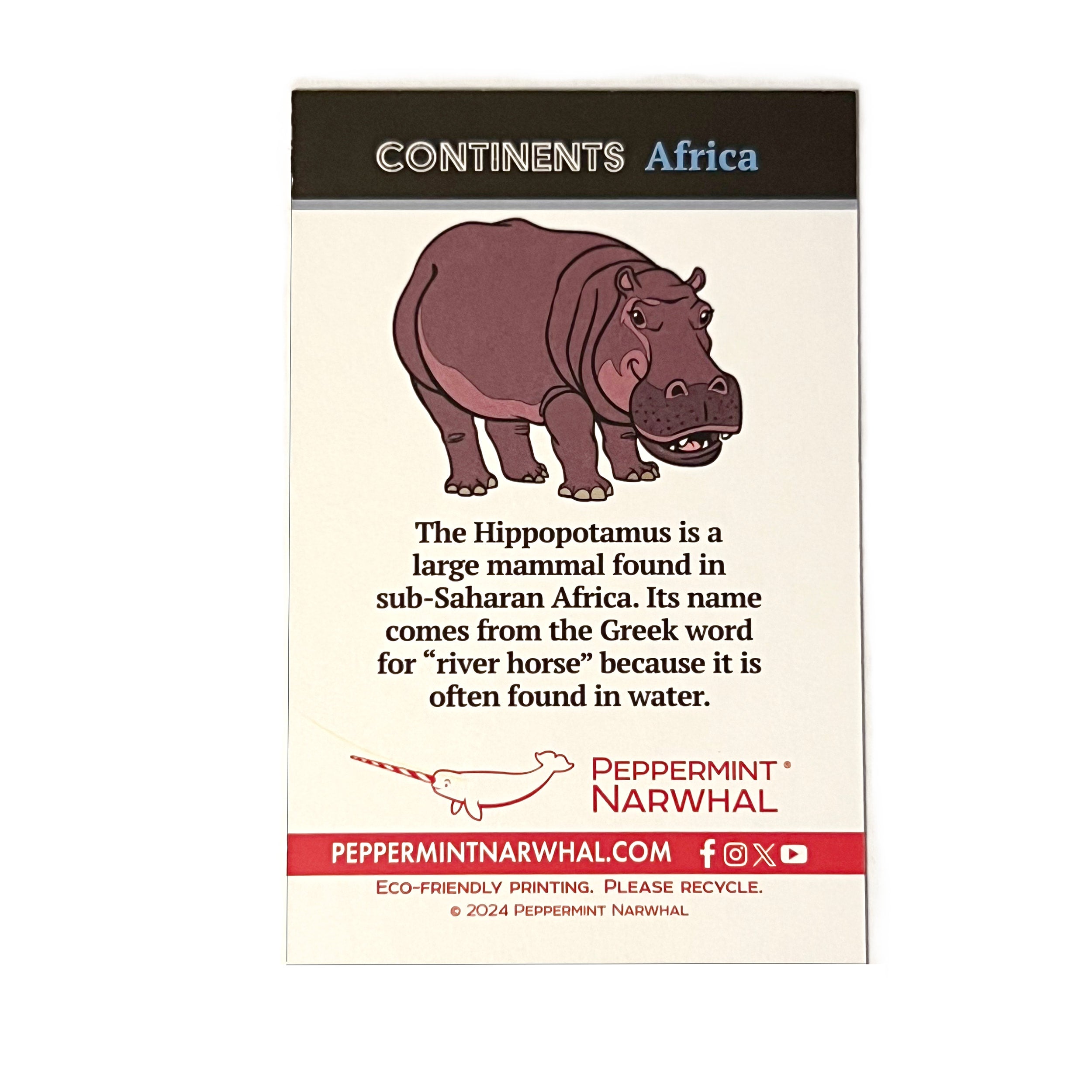 Hippo Goes Overseas ヒッポ外国へ Hippopotamus enamel pin | Peppermint Narwhal - Conservation