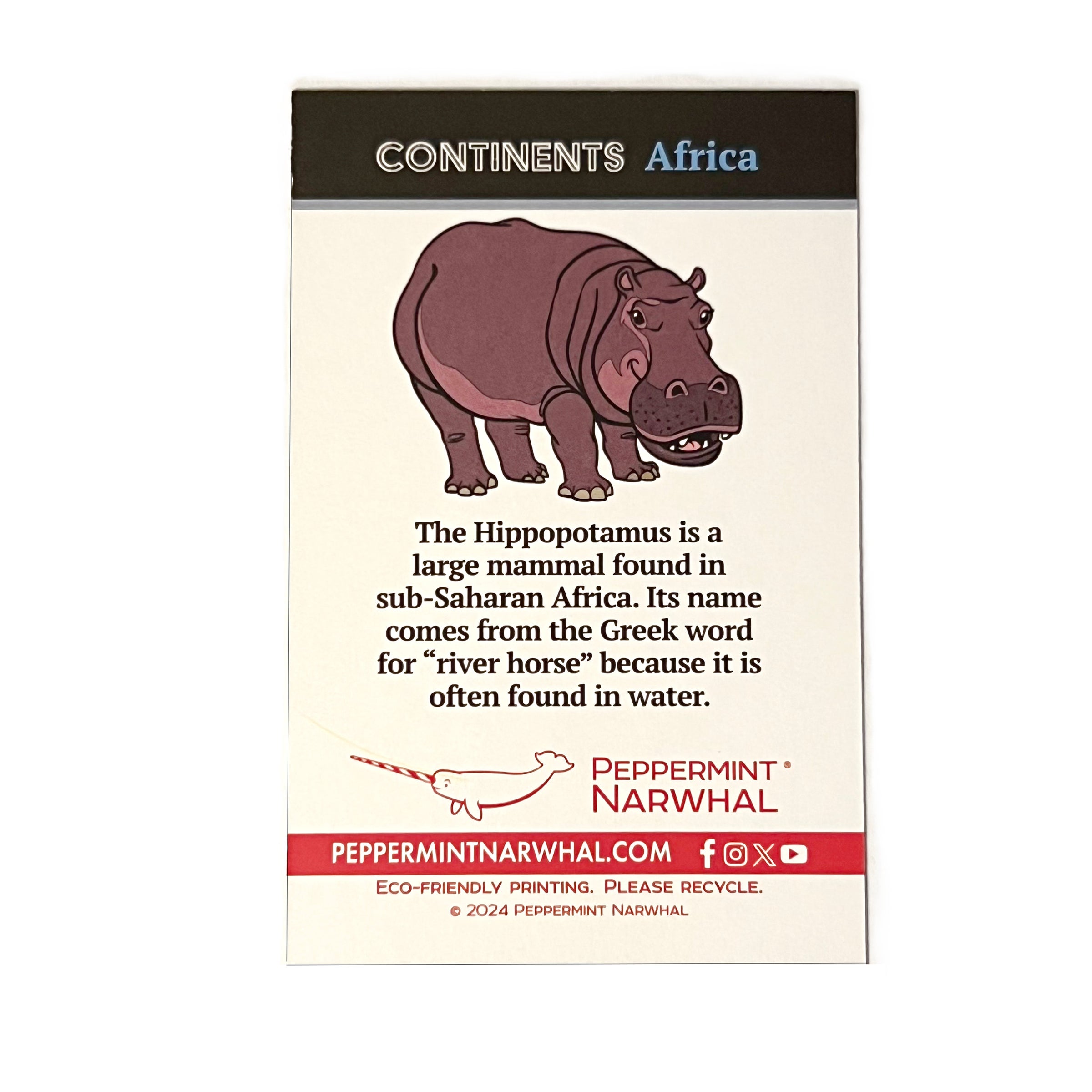 Hippopotamus enamel pin | Peppermint Narwhal - Conservation