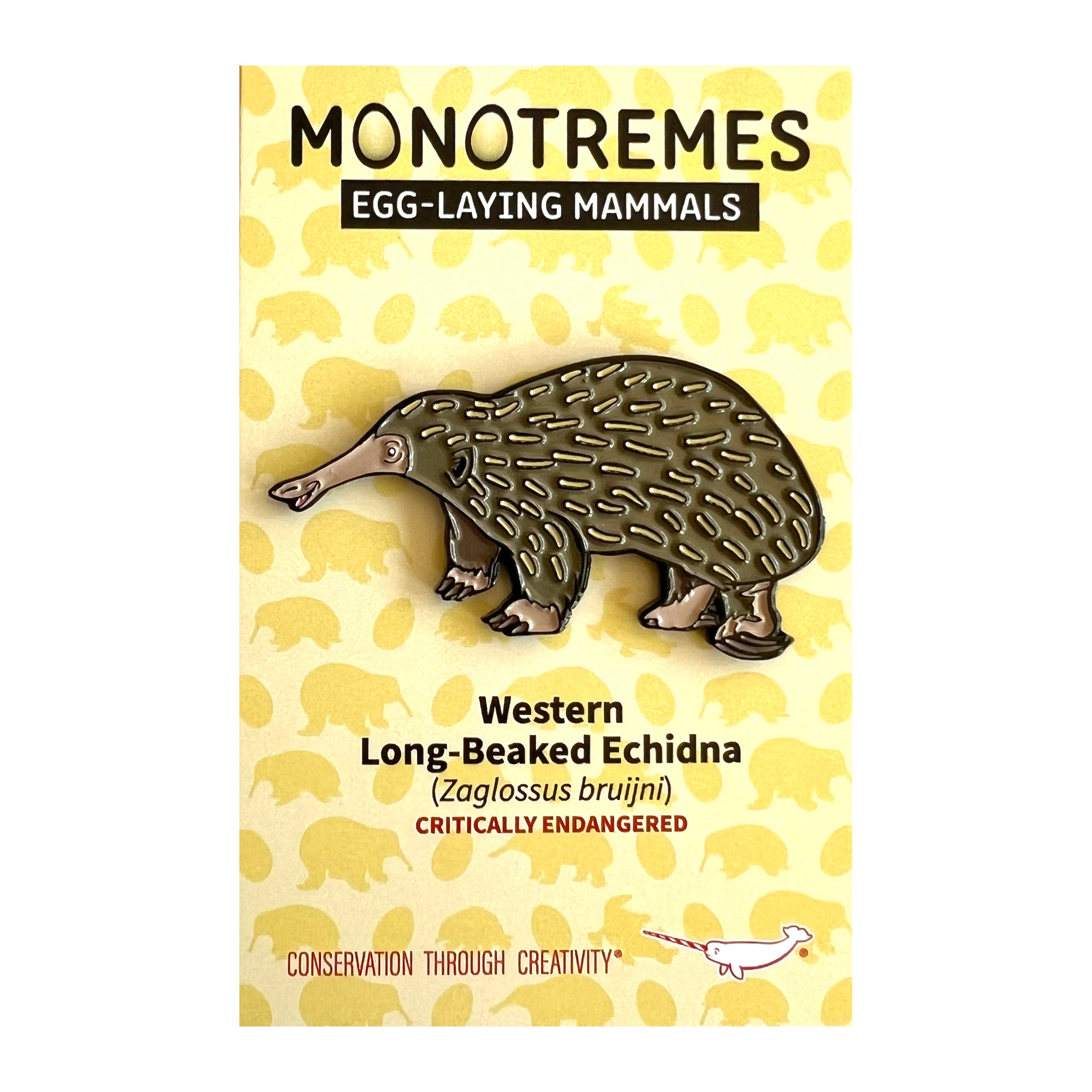 Western Long-Beaked Echidna enamel pin | Peppermint Narwhal