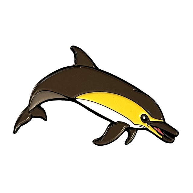 ミュージック brainchild's/YELLOW DOLPHIN YELLOW DOLPHIN | brainchild's Official site