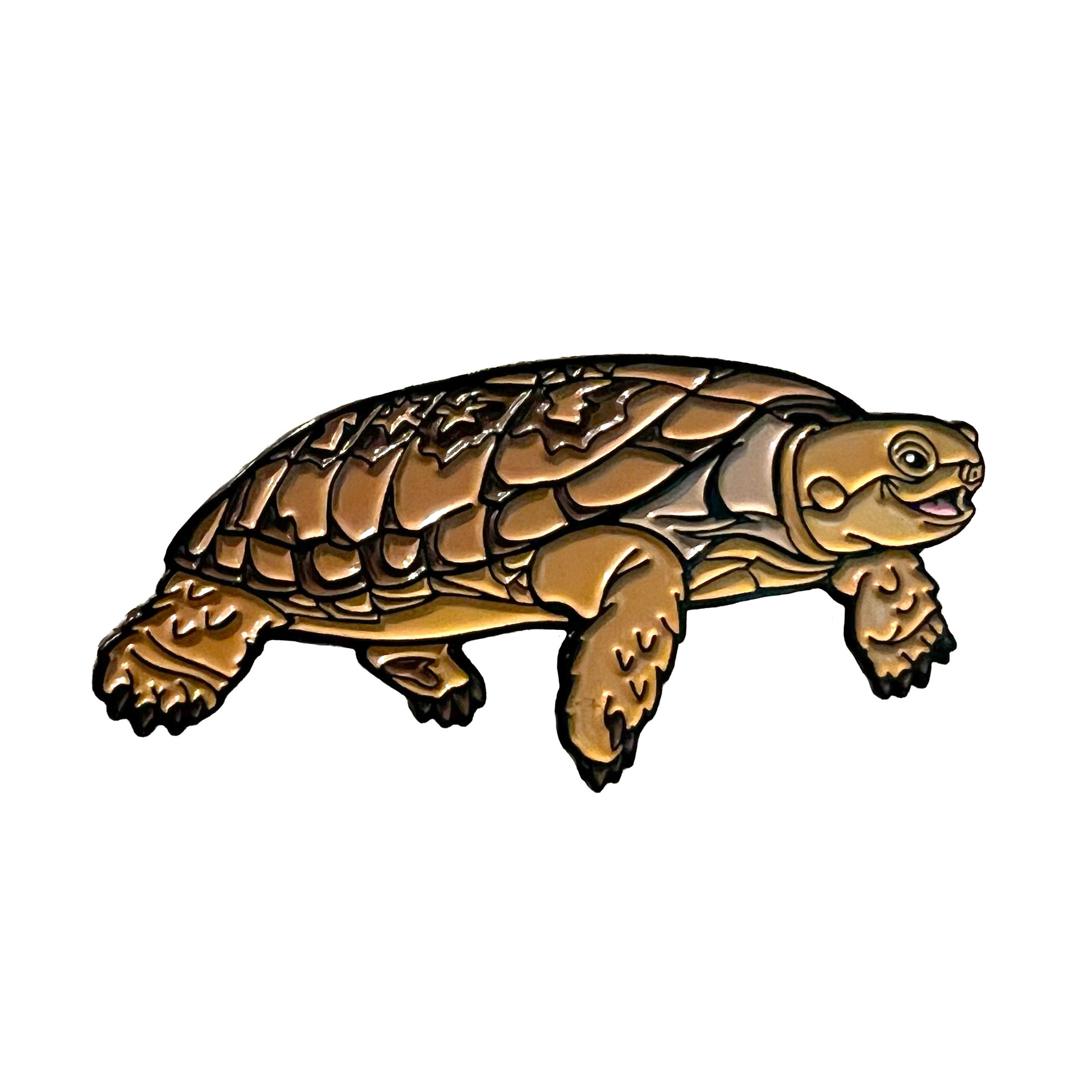 Pancake Tortoise enamel pin | Peppermint Narwhal - Conservation