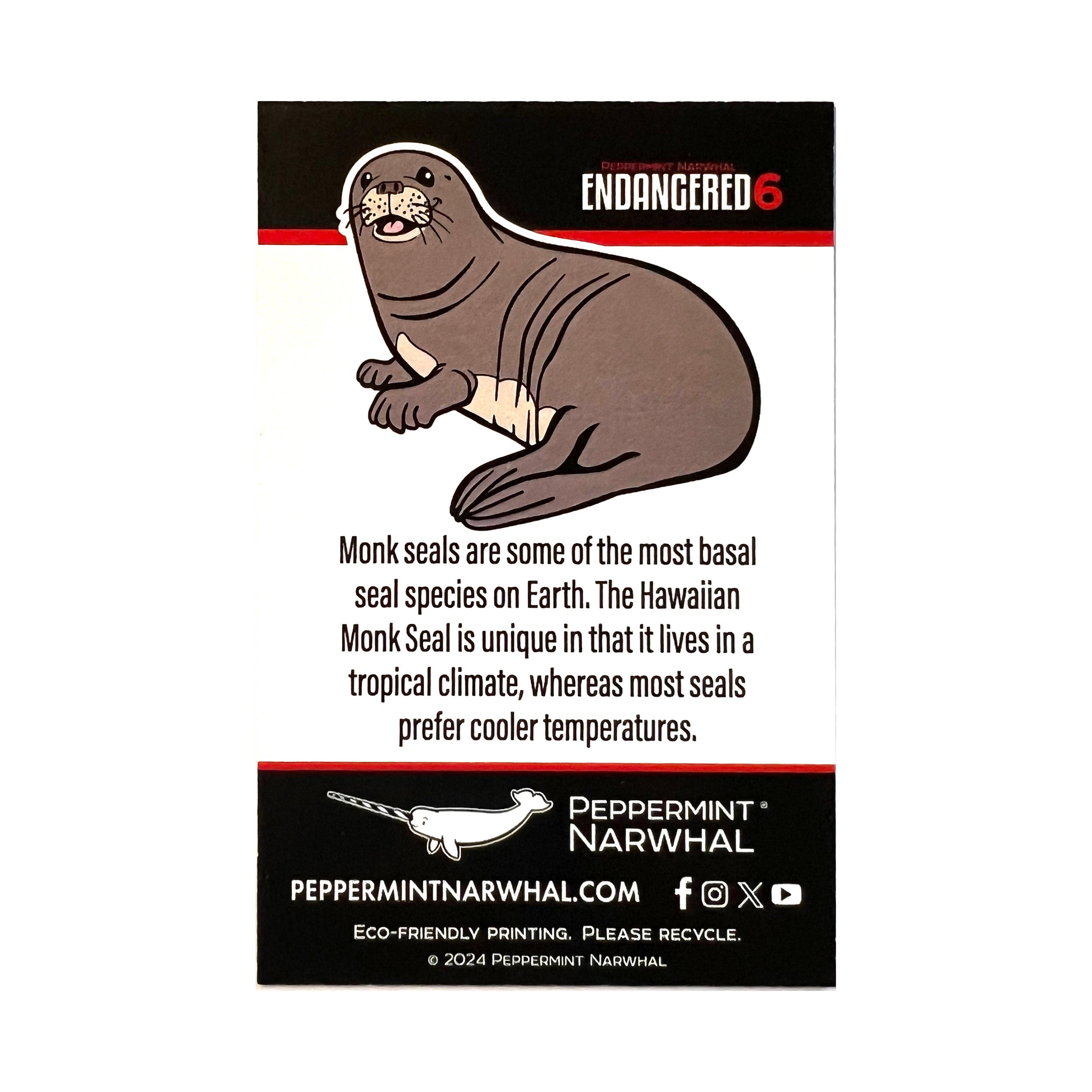 Hawaiian Monk Seal enamel pin | Peppermint Narwhal - Conservation