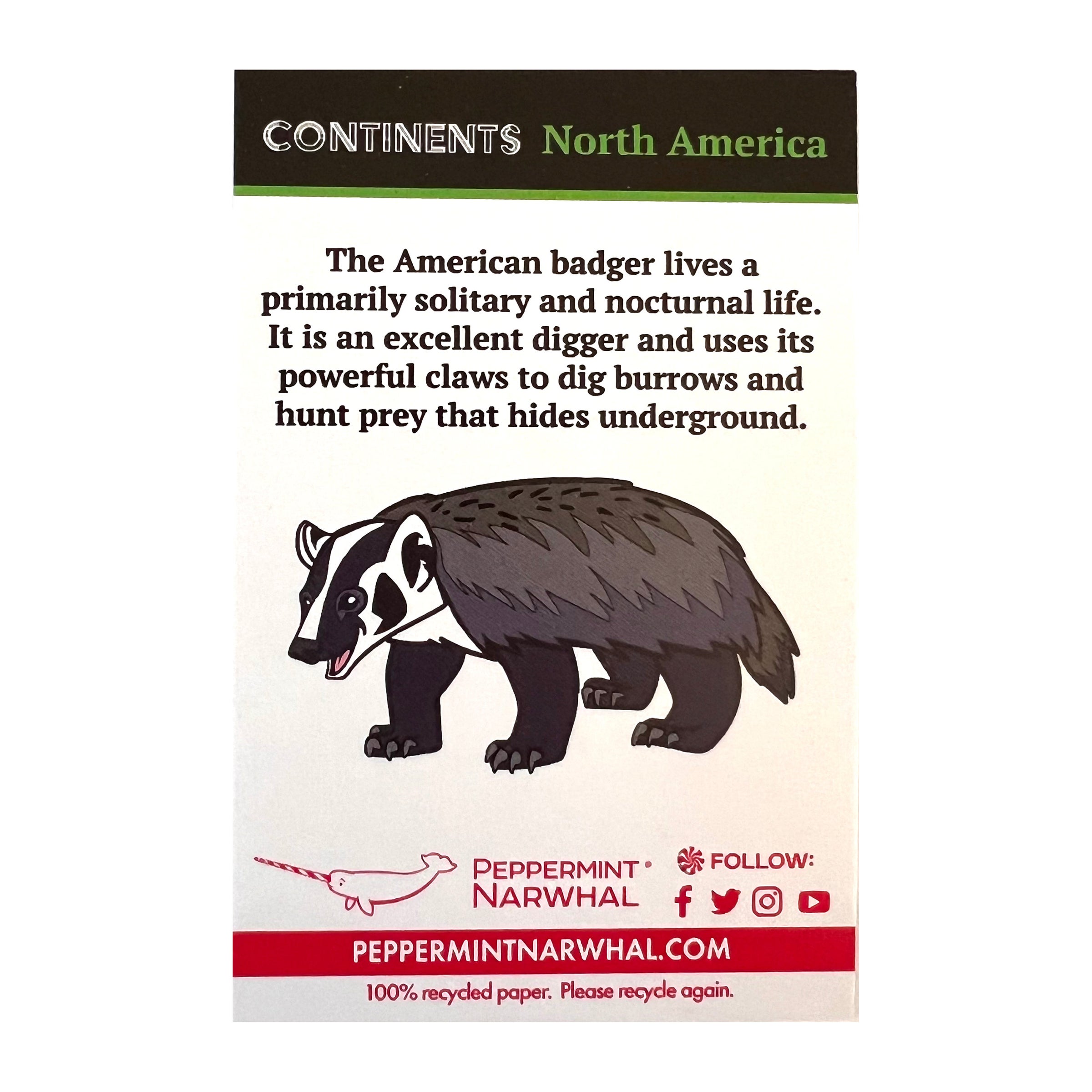 タグ付き！ Cordy Roy Badger バジャー アナグマ American Badger enamel pin | Peppermint Narwhal - Conservation
