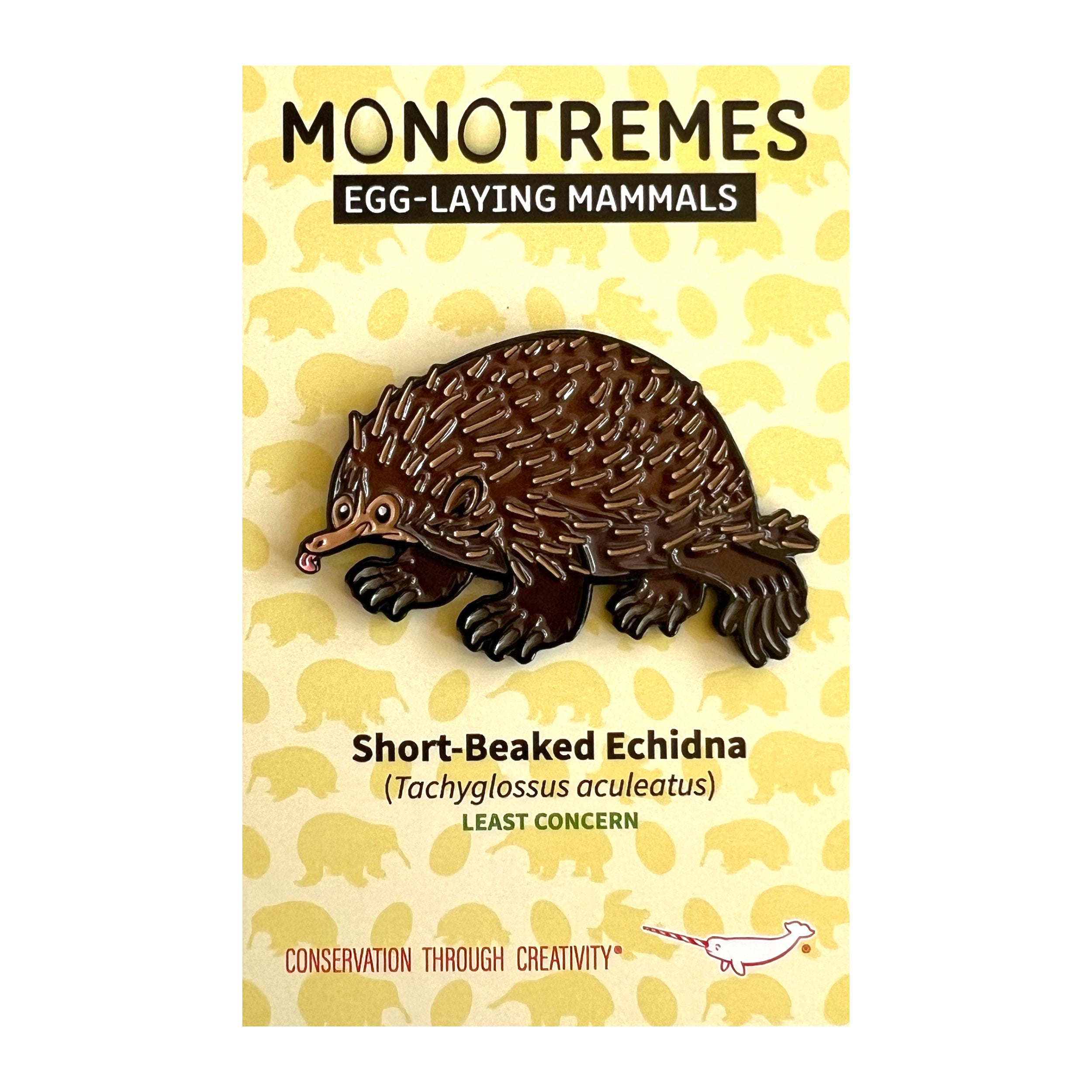 Short-Beaked Echidna enamel pin | Peppermint Narwhal