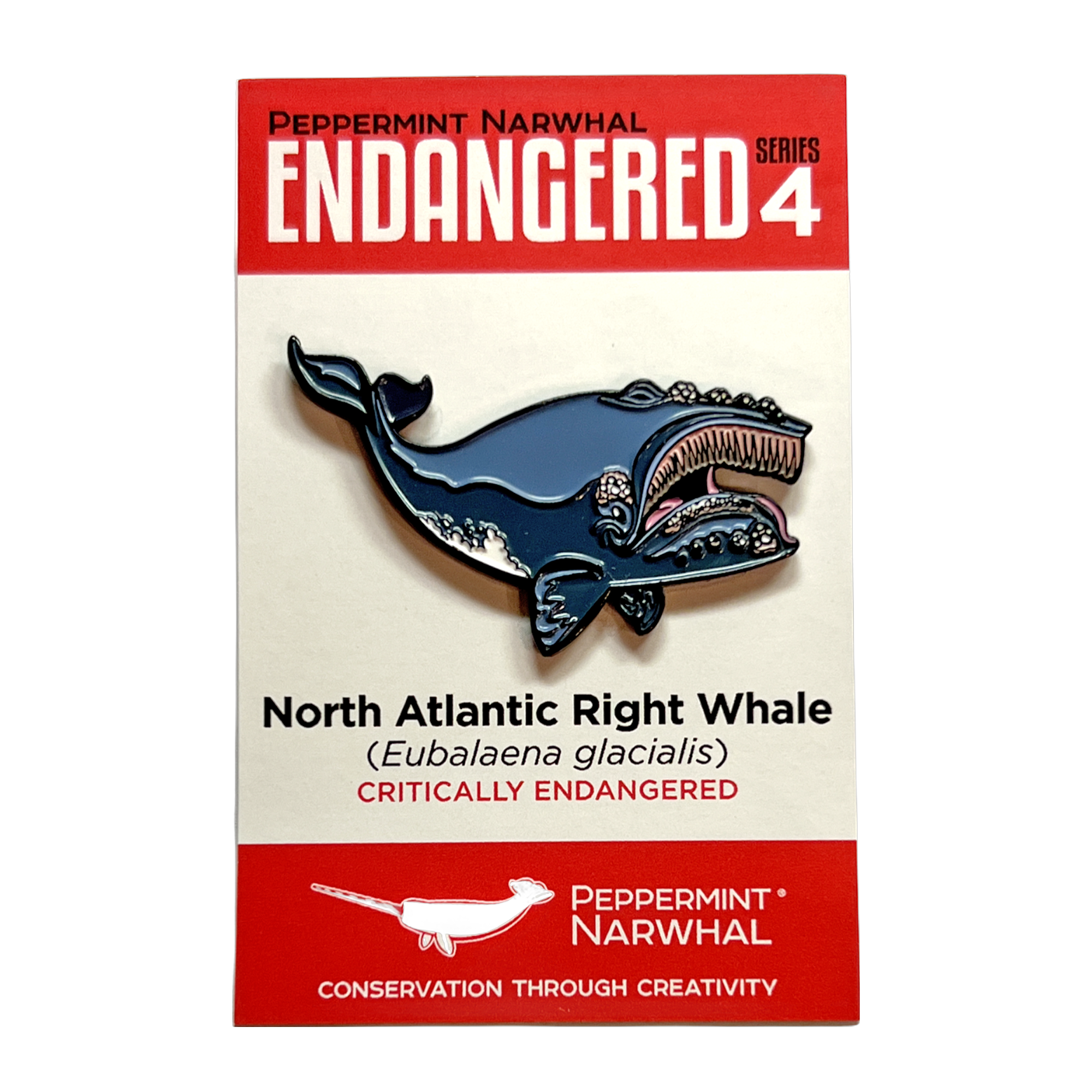 North Atlantic Right Whale enamel pin Peppermint Narwhal