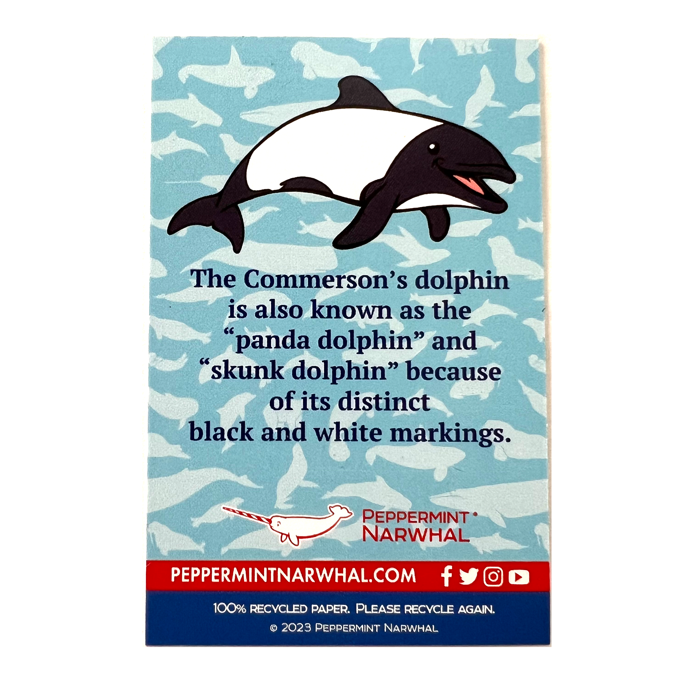 Commerson's Dolphin enamel pin | Peppermint Narwhal - Conservation